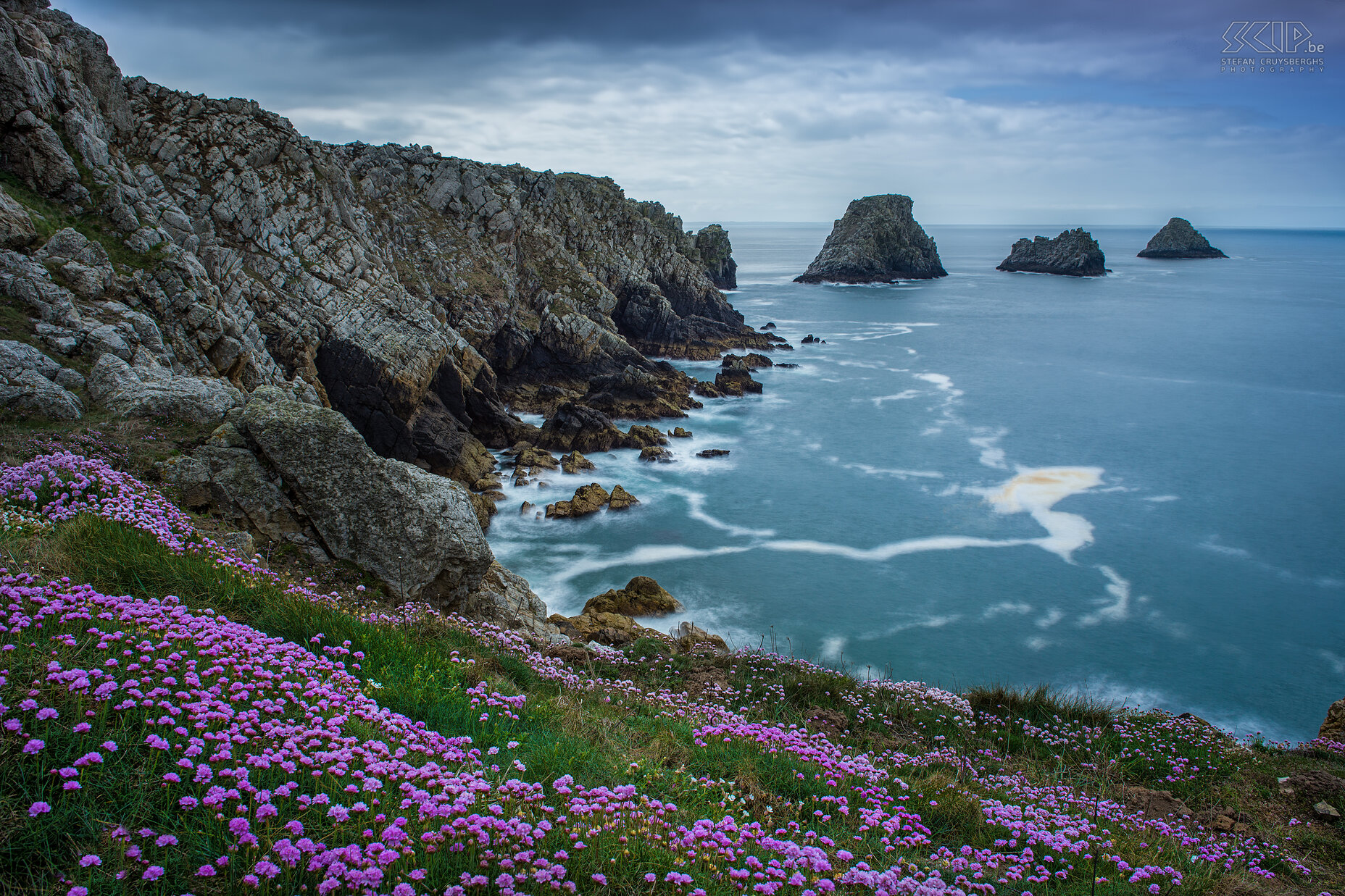 Crozon - Pen-Hir The pointe de Pen-Hir is the most westerly point of the Crozon peninsula. Some of the cliffs are 70m tall and there are 3 rocks in sea which are called Les Tas de Pois (heaps of peas). A lot of sea pink was flowering on the cliffs. Stefan Cruysberghs